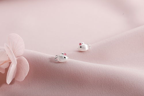 銀飾品耳釘耳環首飾拍攝 電商靜物產品拍照 小清新飾品